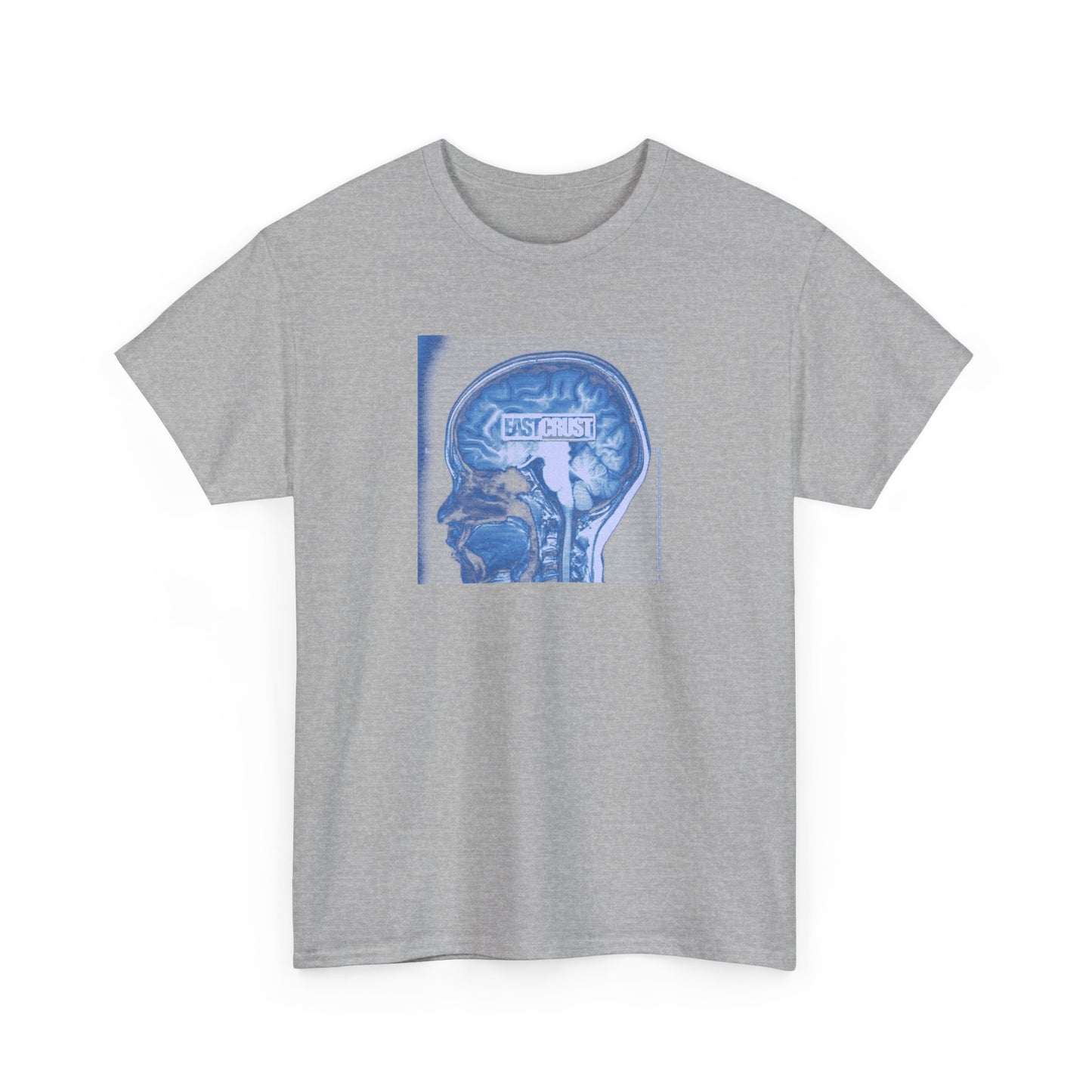 EC - Skull Examination