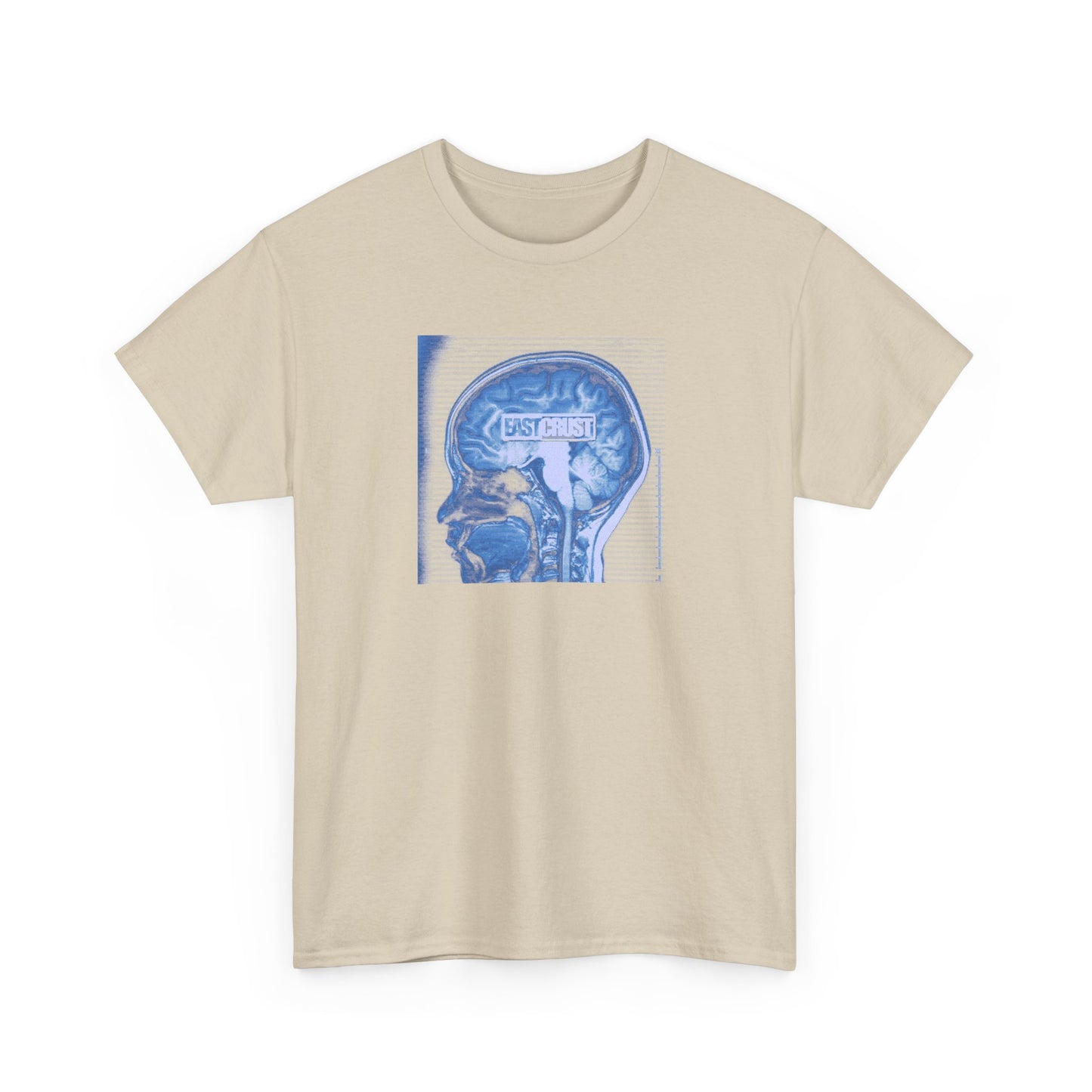 EC - Skull Examination