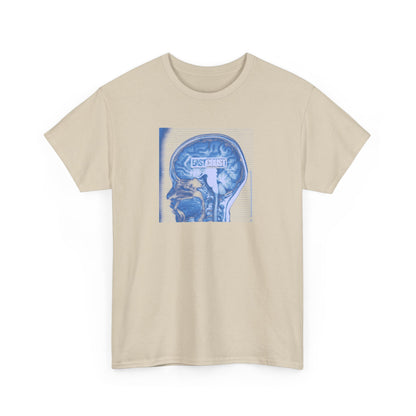 EC - Skull Examination