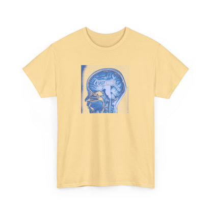 EC - Skull Examination